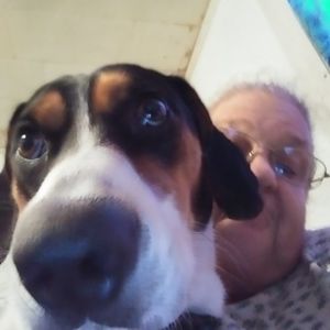 Meet your Posher, Leigh